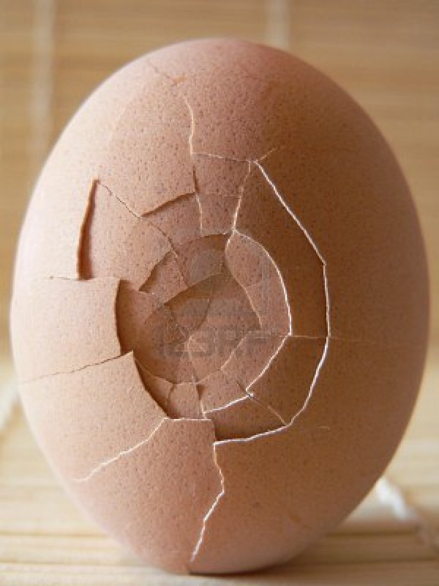 Яйцо трещина. Яйцо треснуло. Треснутые яйца. Потресканное яйцо. Яйцо с трещинкой.